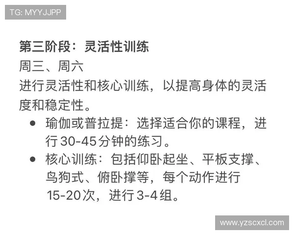 健身从基础开始如何科学制定训练计划提升力量与耐力效果