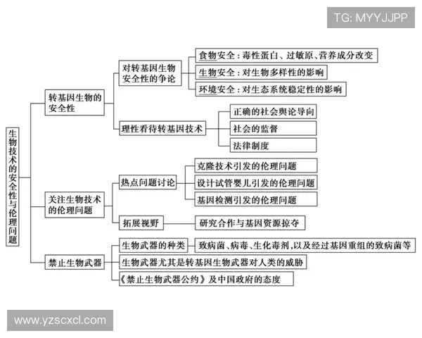 乒乓球运动的魅力与发展历程:从起源到现代化技术的突破与创新 乒乓球运动的魅力与发展历程:从起源到现代化技术的突破与创新
