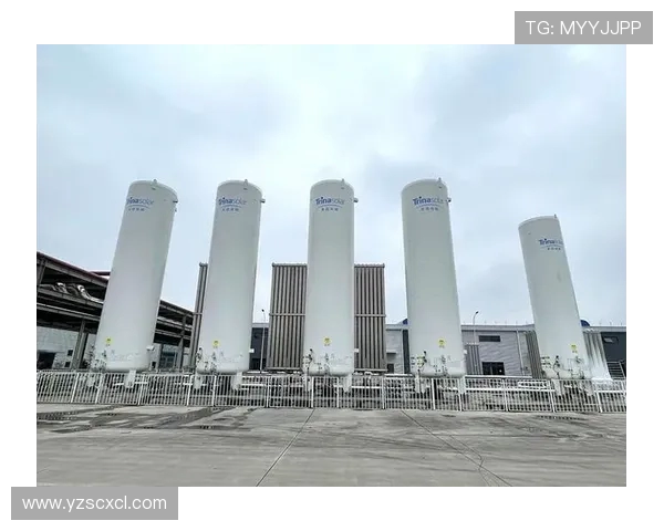 全球总决赛分析：LNG展现战术灵活性与团队协作的完美结合