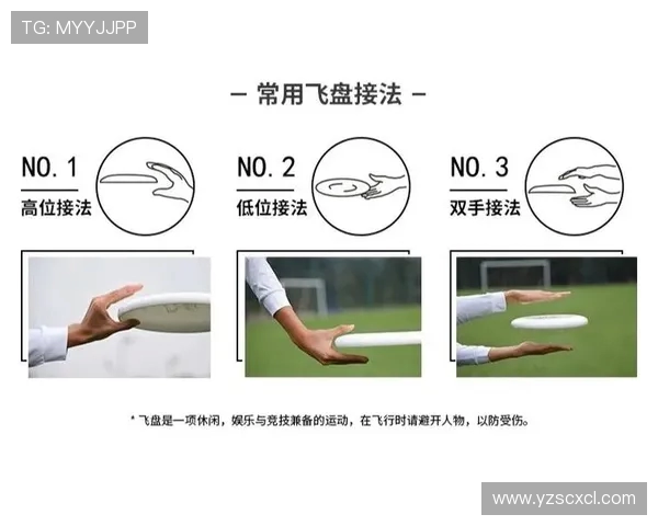 南京飞盘队技术对比深度解析与战术优势探讨