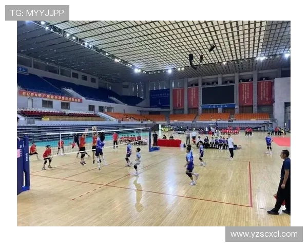 深圳排球队的运营揭秘与深度分析探索排球运动的未来发展之路 深圳排球队的运营揭秘与深度分析探索排球运动的未来发展之路