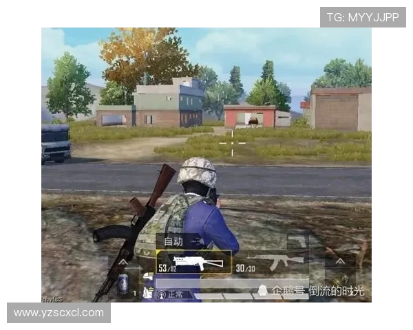 聚焦和平精英技术创新与BLG团队的未来发展探讨