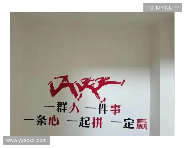 以Meiko辅助为核心解析其在团队协作与战略布局中的关键作用 以Meiko辅助为核心解析其在团队协作与战略布局中的关键作用