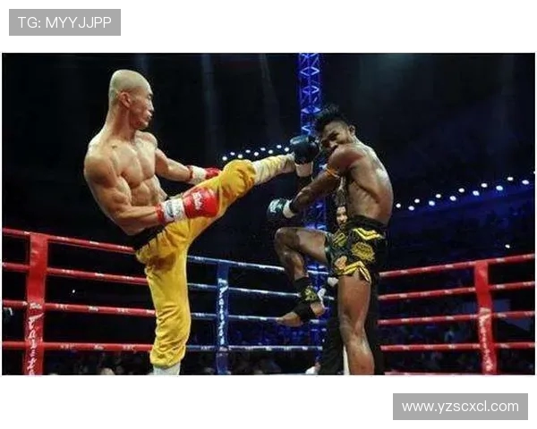 2017年搏击盛事播求对决一龙精彩瞬间回顾与分析