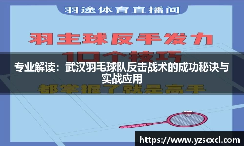 专业解读：武汉羽毛球队反击战术的成功秘诀与实战应用