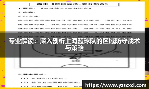 专业解读：深入剖析上海篮球队的区域防守战术与策略