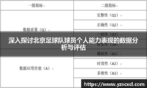 深入探讨北京足球队球员个人能力表现的数据分析与评估