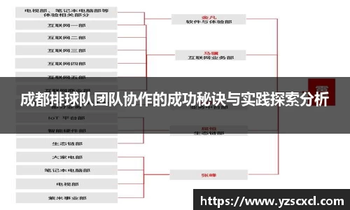 成都排球队团队协作的成功秘诀与实践探索分析