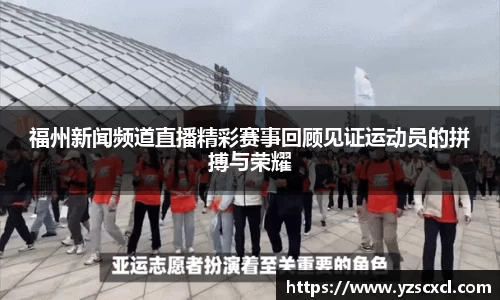 福州新闻频道直播精彩赛事回顾见证运动员的拼搏与荣耀