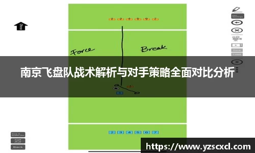 南京飞盘队战术解析与对手策略全面对比分析
